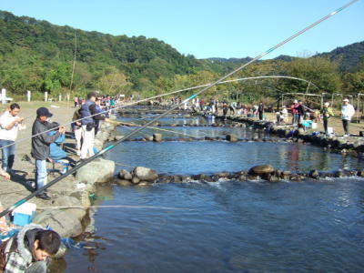 （画像）マス釣り大会の様子