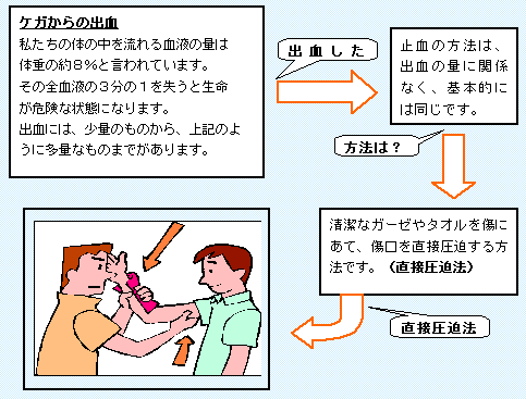 （イラスト）【ケガからの出血】 私たちの体の中を流れる血液の量は体重の約8％と言われています。 その全血液の3分の1を失うと生命が危険な状態になります。 出血には、少量のものから、上記のように多量なものまでがあります。