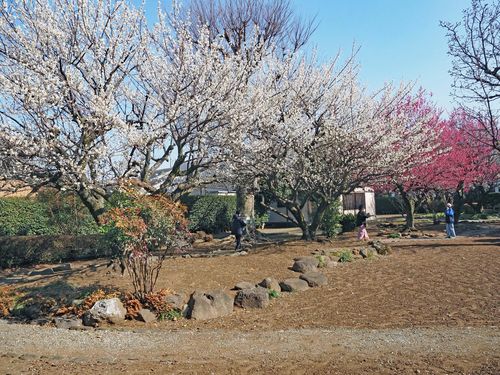 ひな人形とつるし雛2026