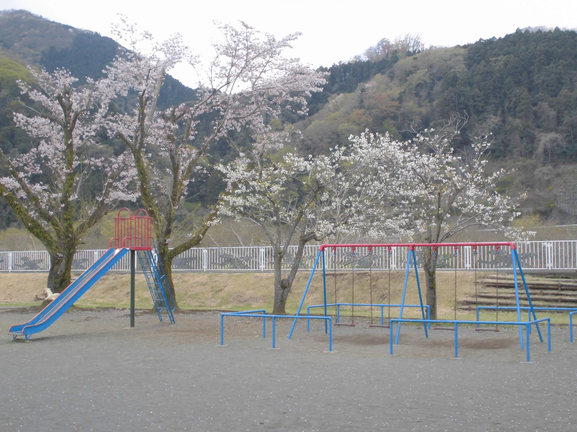 田代運動公園