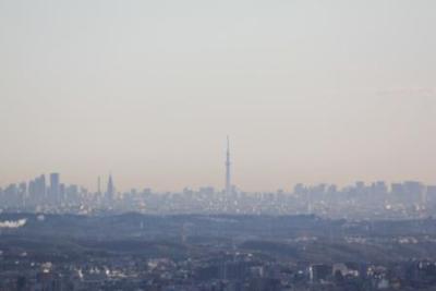 （画像）仏果山展望台から東京スカイツリーの眺め