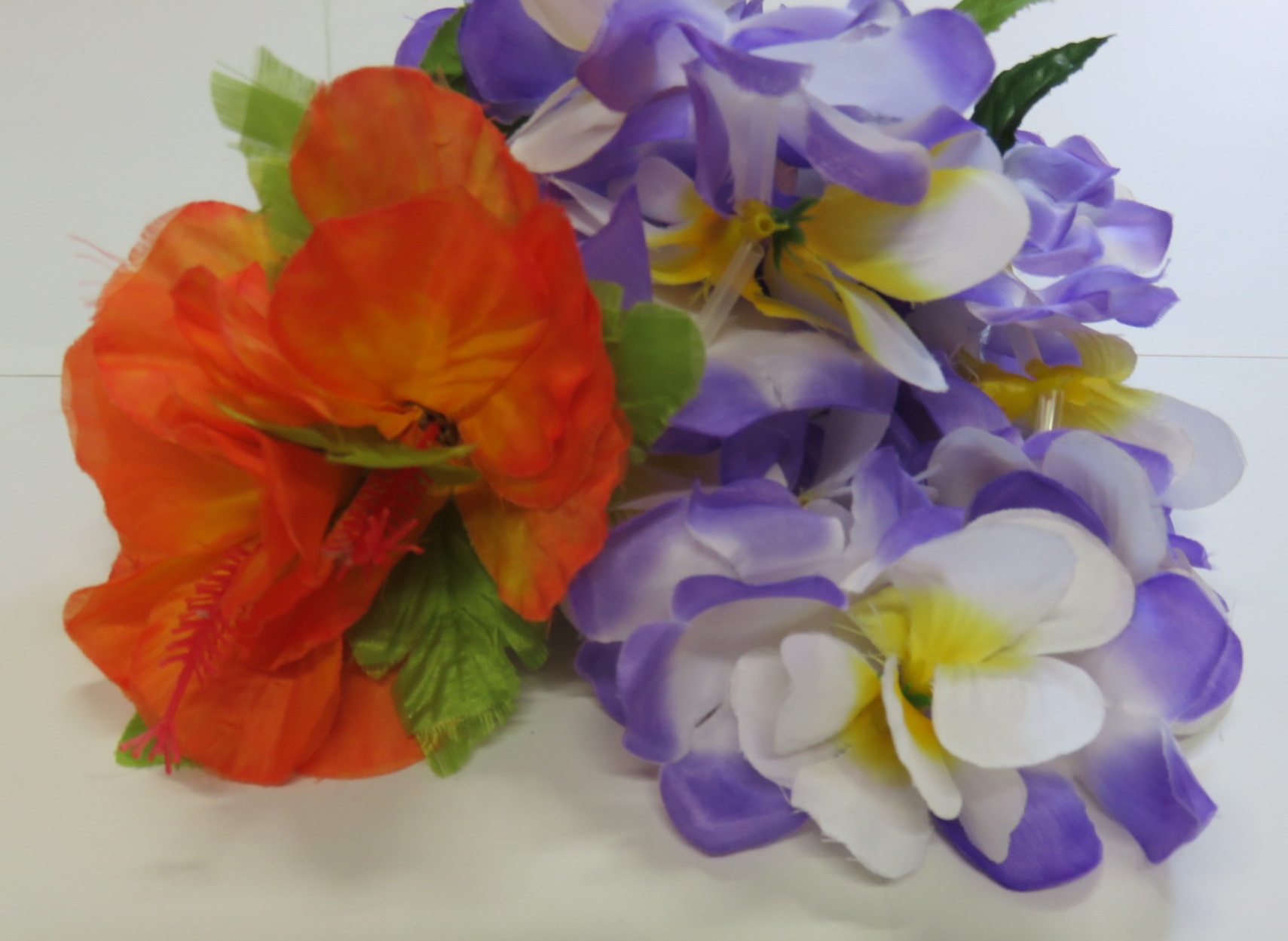 （イメージ）「みんなの先生」キャンペーン講座 フラダンス ～新しい年の体づくりをリラックスして一緒にたのしみませんか～