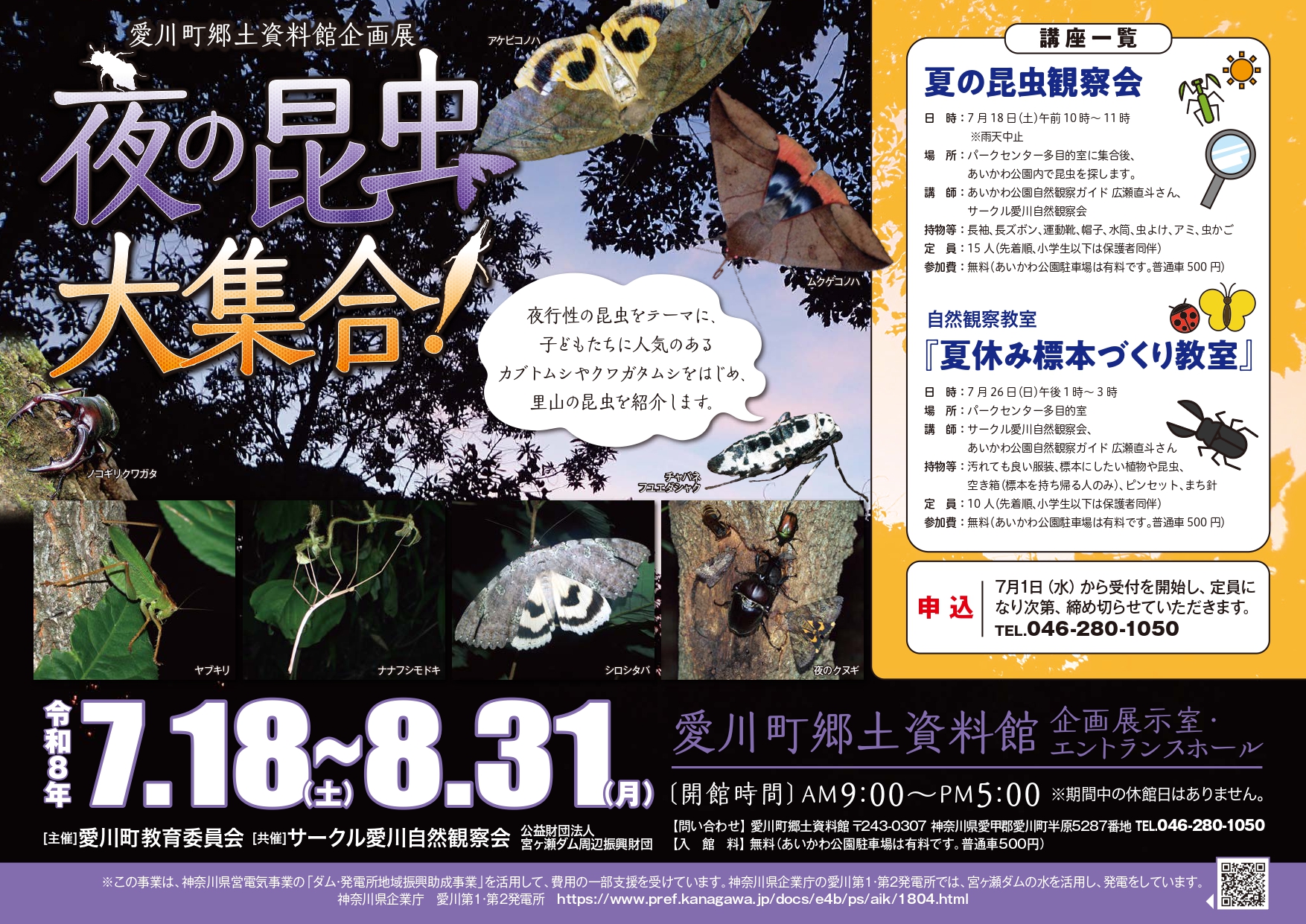 夜の昆虫大集合!