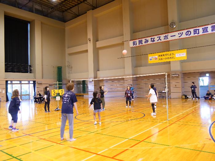 ソフトバレーボール