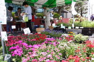 （写真）花の即売