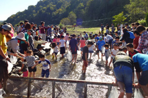 （写真）マスのつかみ取りを楽しむ子供たち