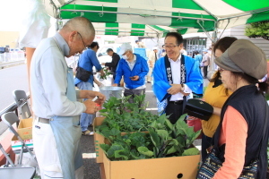 （写真）野菜苗の即売