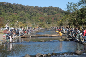 （写真）大会の様子