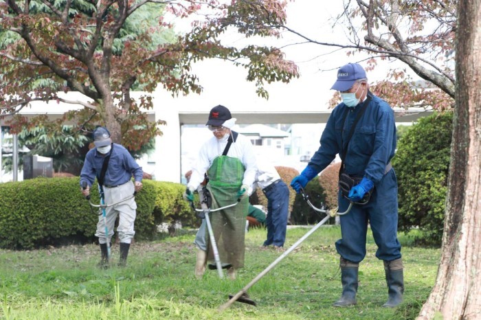 （写真）除草作業の様子