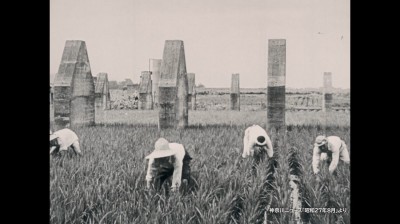 （写真）戦後の農地開拓の様子