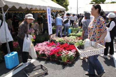 花や野菜の苗の即売コーナー