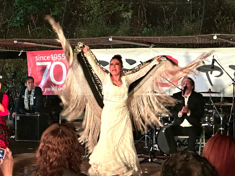 （写真）フラメンコダンスの様子