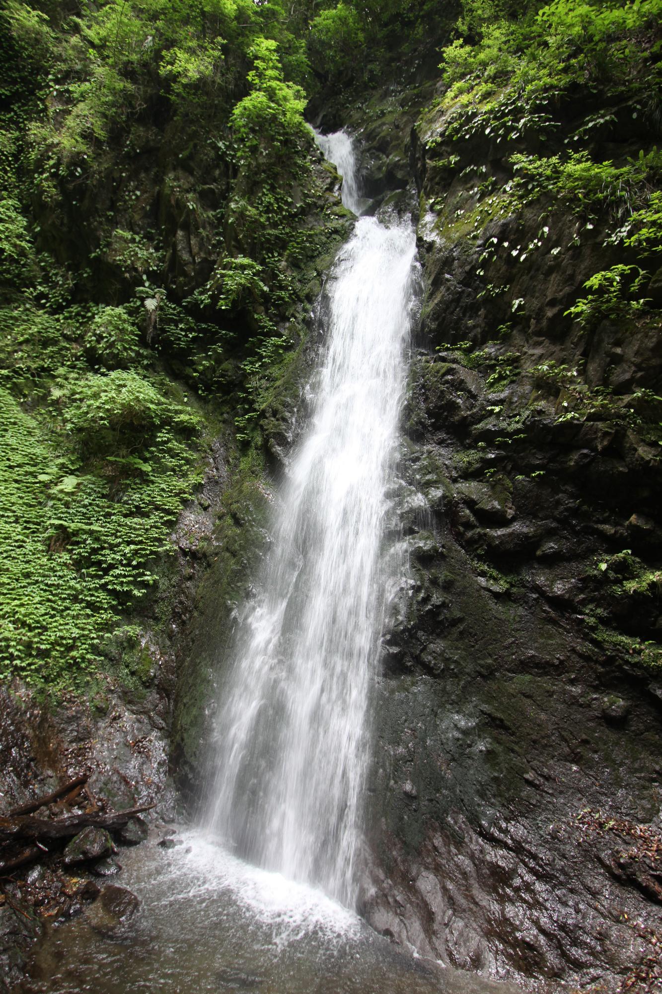 （写真）塩川滝を正面から写した写真