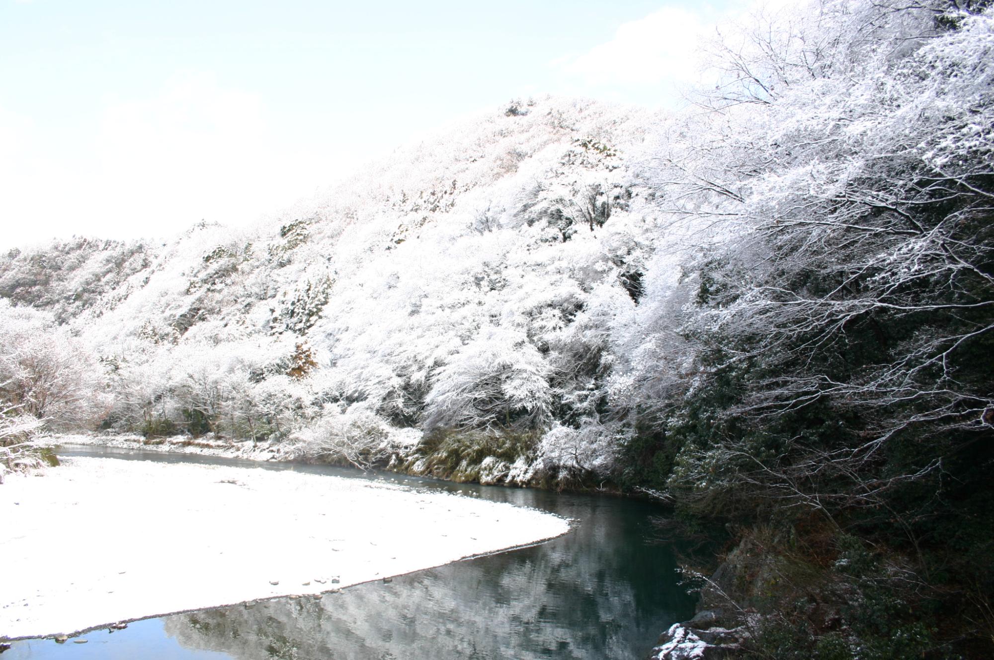 （写真）中津川の河原と対岸の木々が雪で白く覆われている