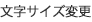 文字の大きさ